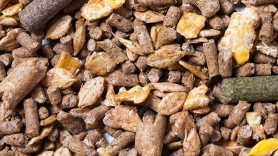 تعبئة الأعلاف