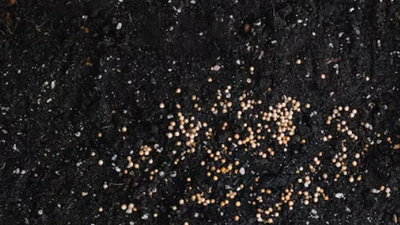 تعبئة الأسمدة